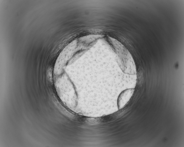 X0000115010238200912071211