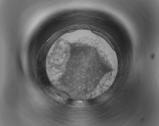 X0000115010239200912071211