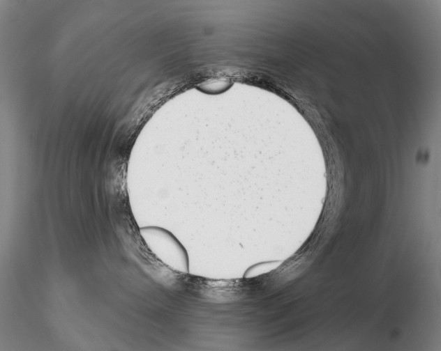 X0000115010240200912071211