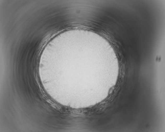 X0000115010241200912071210