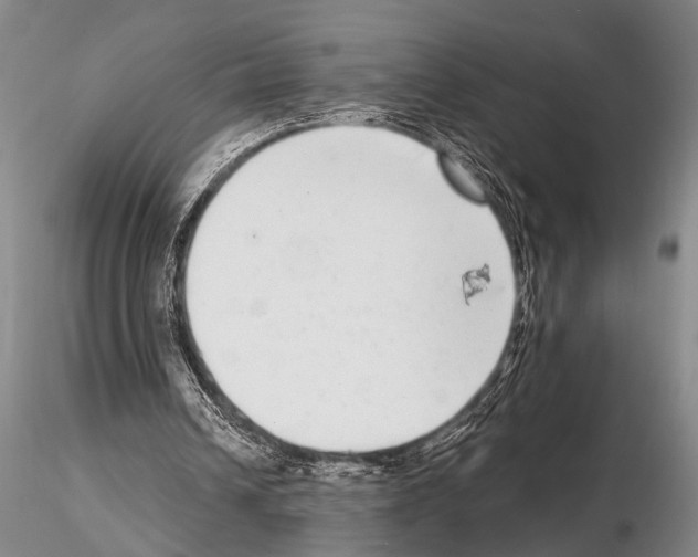 X0000115010242200912071210