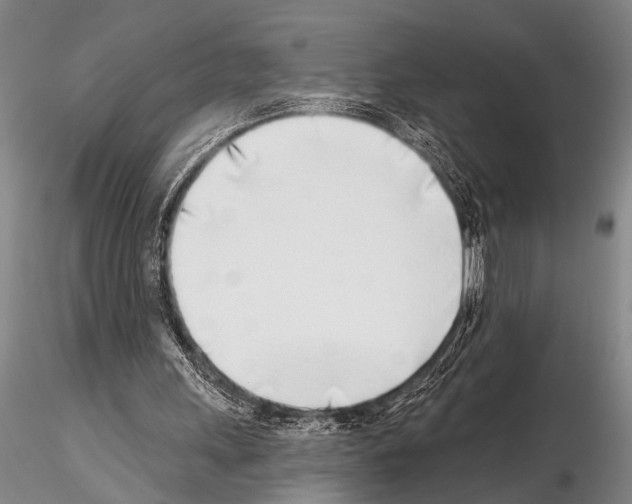 X0000115010243200912071210