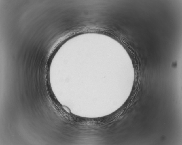 X0000115010244200912071210