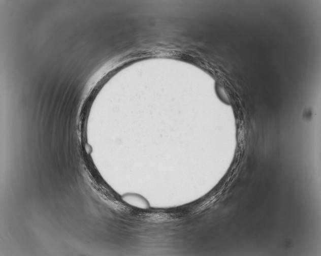 X0000115010246200912071210