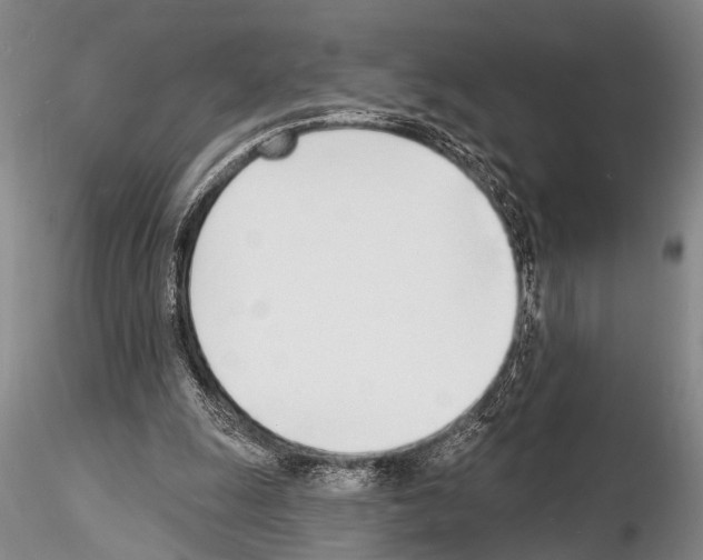 X0000115010247200912071210