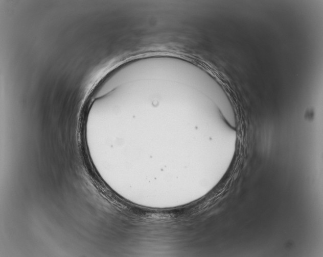 X0000115010248200912071210