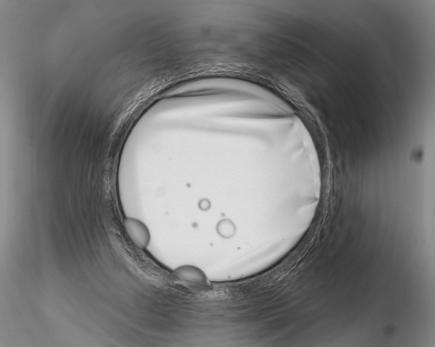 X0000115010250200912071210