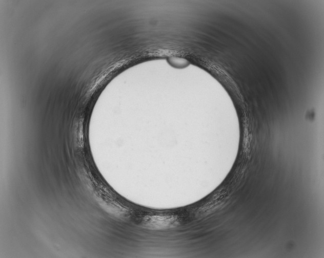 X0000115010251200912071210