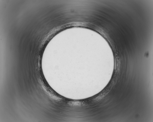 X0000115010253200912071210