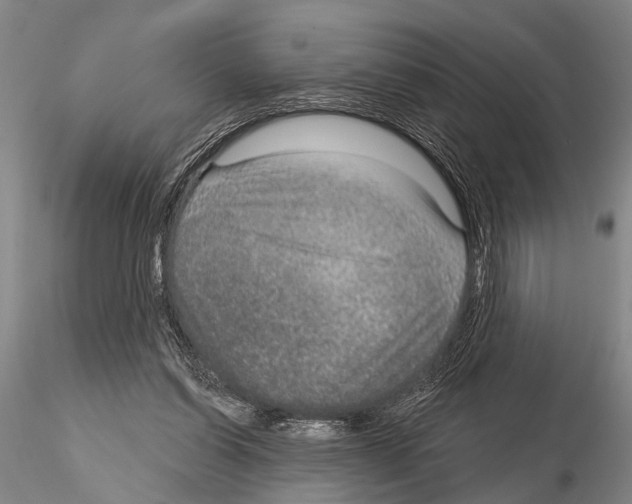 X0000115010254200912071210