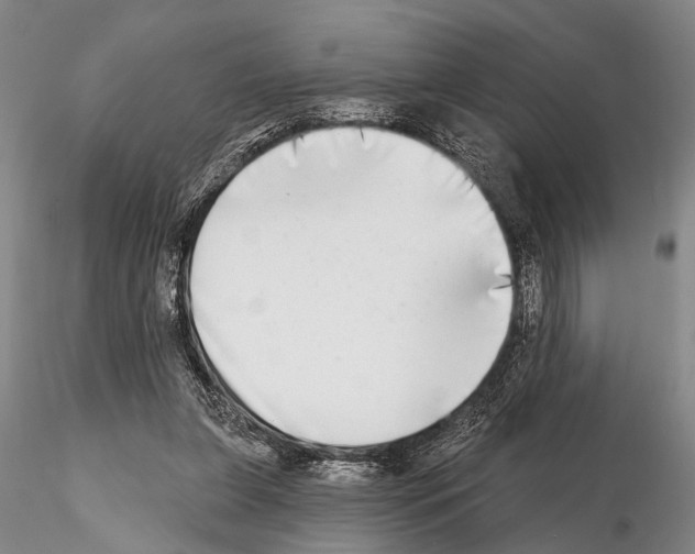 X0000115010255200912071210