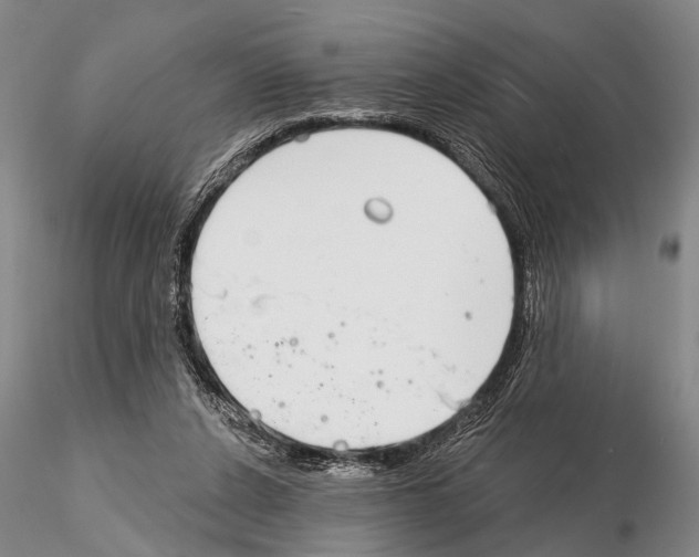 X0000115010256200912071210