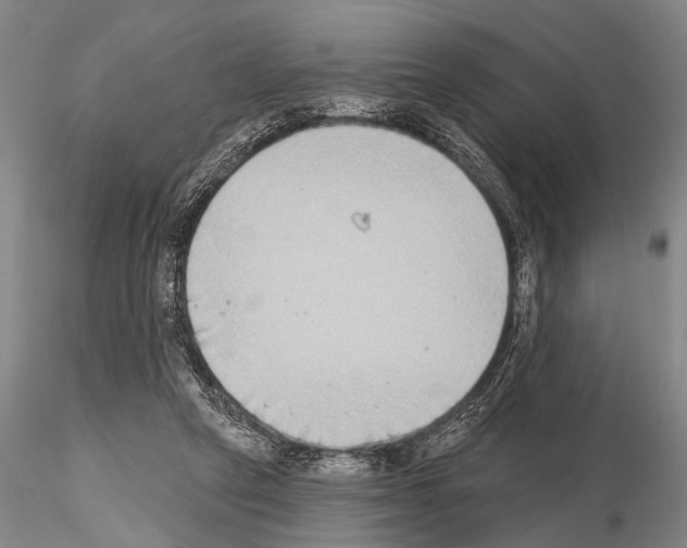 X0000115010257200912071210