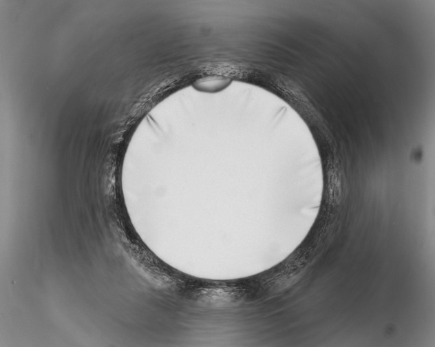 X0000115010259200912071211