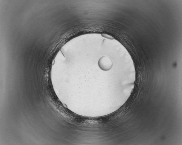 X0000115010260200912071211