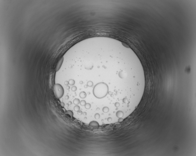 X0000115010262200912071211