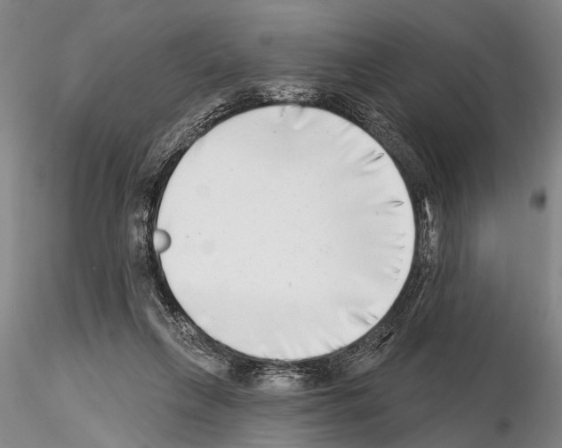 X0000115010263200912071211