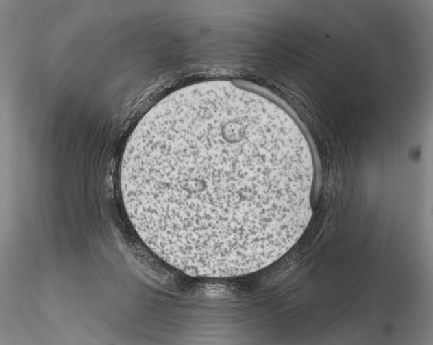 X0000115010264200912071211