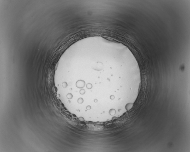 X0000115010266200912071211