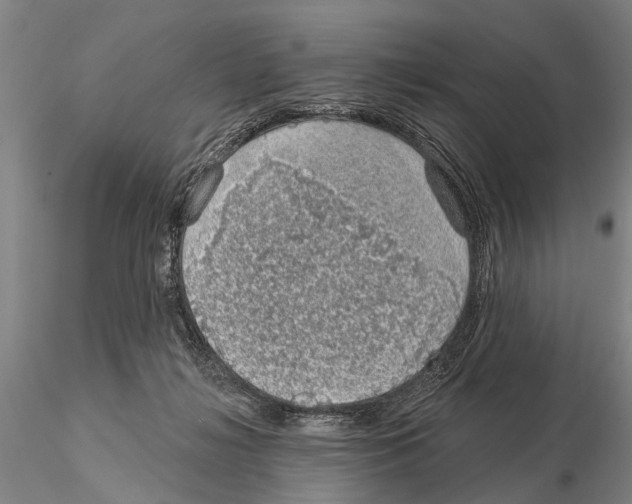 X0000115010268200912071211