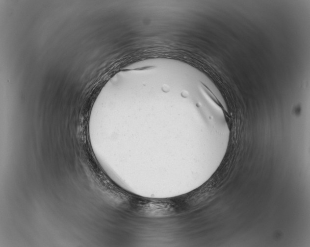 X0000115010270200912071211