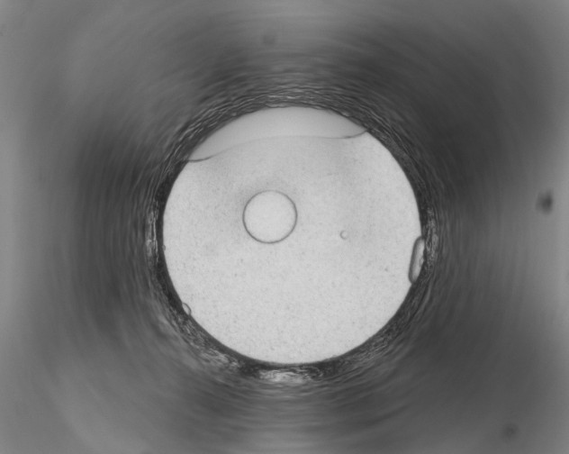 X0000115010272200912071211