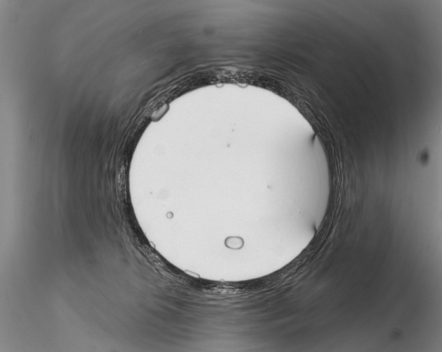 X0000115010276200912071211