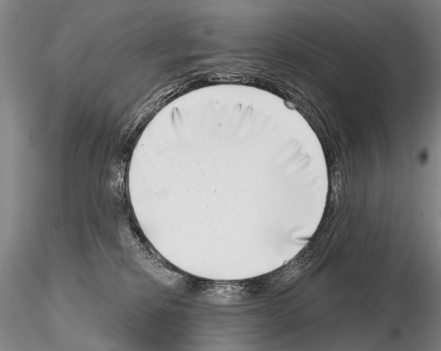 X0000115010278200912071211