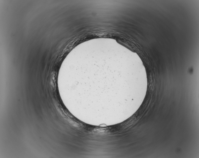 X0000115010280200912071211