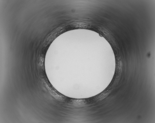 X0000115010281200912071211