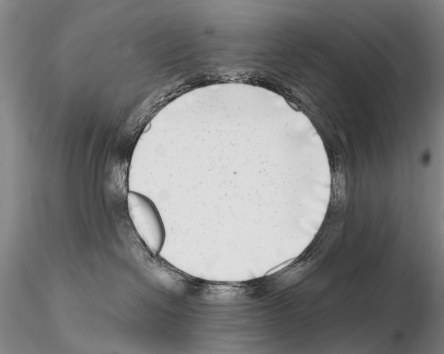 X0000115010286200912071211