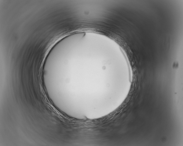 X0000115010289200912071210