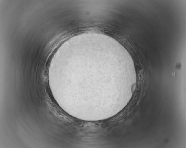 X0000115010290200912071210