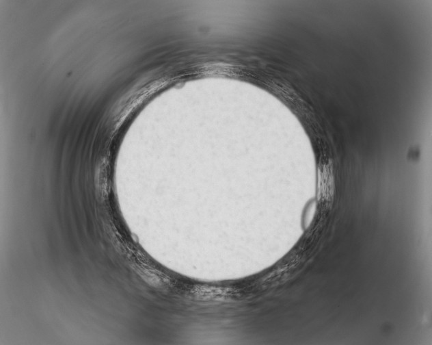 X0000115010291200912071210