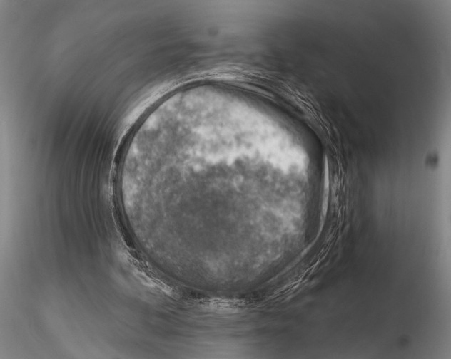 X0000115010292200912071210