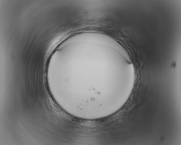 X0000115010293200912071210