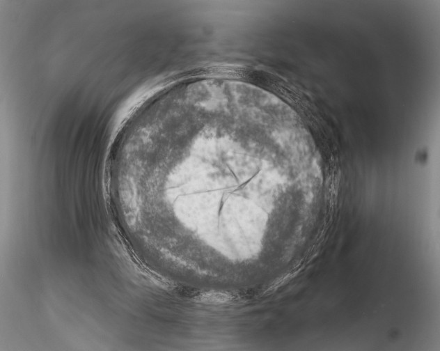 X0000115010294200912071210