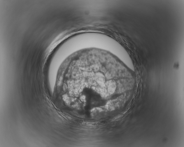 X0000115010295200912071210