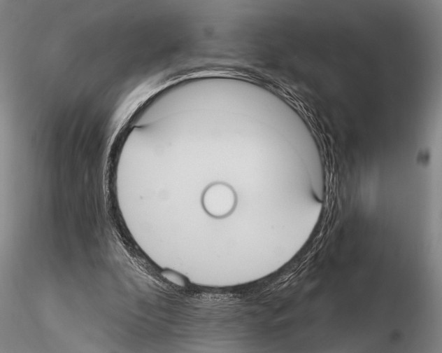 X0000115010296200912071210