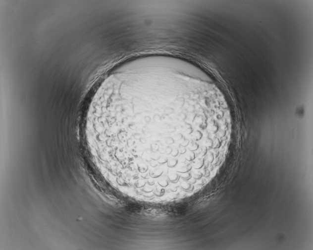 X0000115010299200912071210