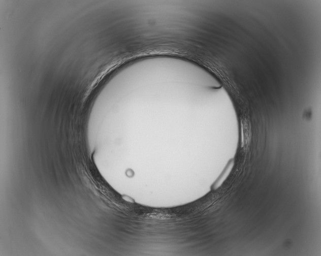 X0000115010300200912071210