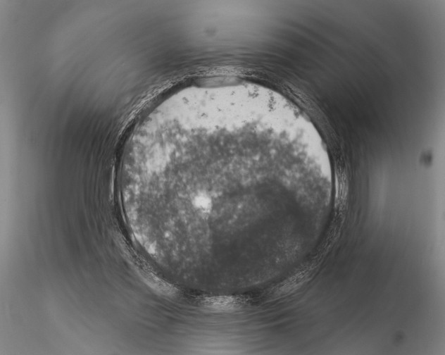 X0000115010301200912071210