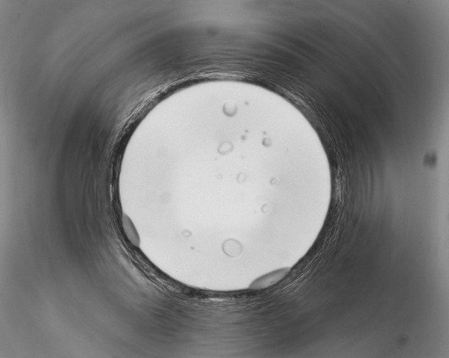 X0000115010302200912071210