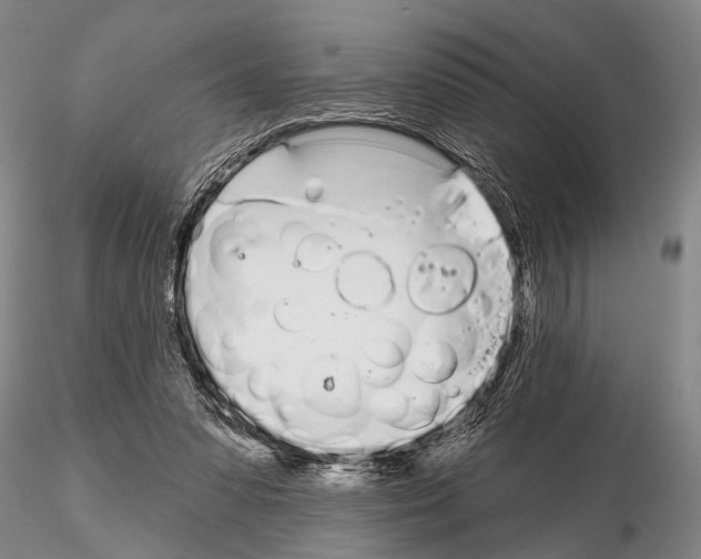 X0000115010303200912071210