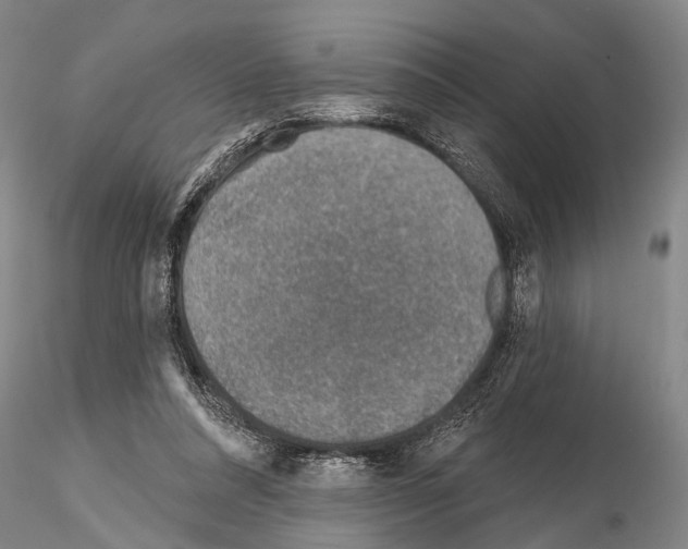 X0000115010304200912071210