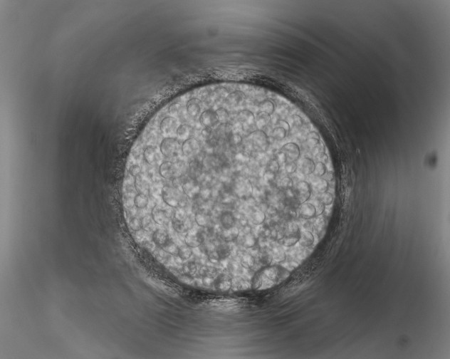 X0000115010307200912071210