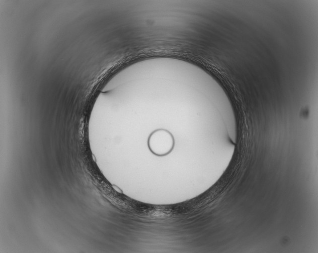 X0000115010308200912071210