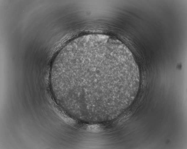 X0000115010309200912071210