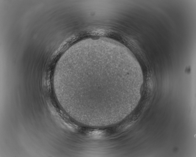 X0000115010312200912071210