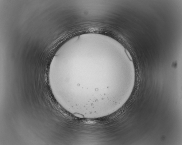 X0000115010313200912071210